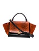 Celine Leather Trapeze Small