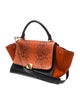 Celine Leather Trapeze Small