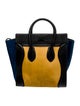 Celine Ponyhair Luggage Mini