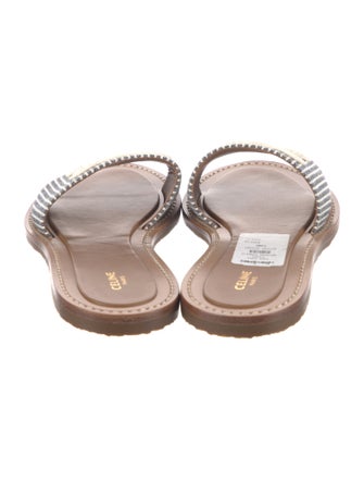 Celine Canvas Printed Slides