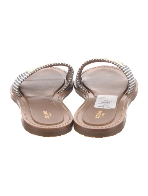 Celine Canvas Printed Slides