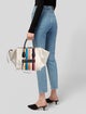 Celine Canvas Luggage Phantom