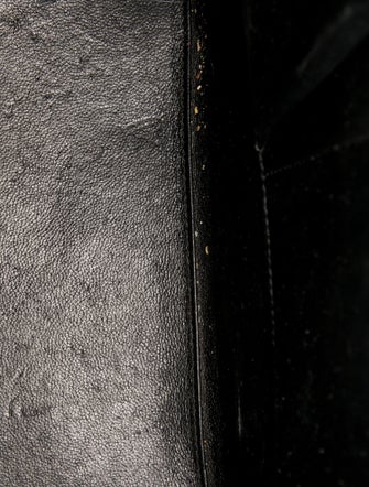 Celine Leather Luggage Micro