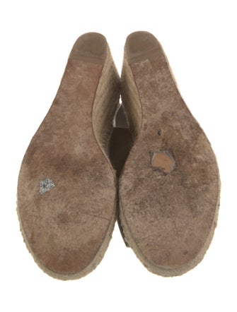 Celine Suede Espadrilles