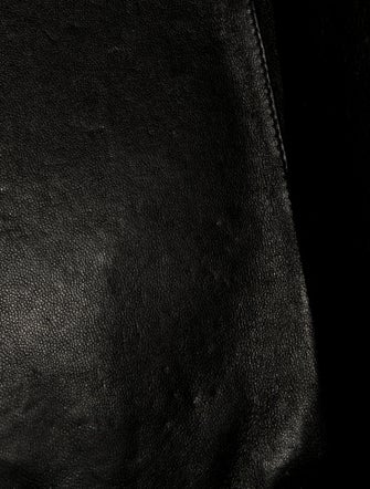 Celine Canvas Luggage Mini