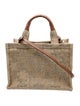 Celine Triomphe Raffia Effect Cabas Thais Small 2023