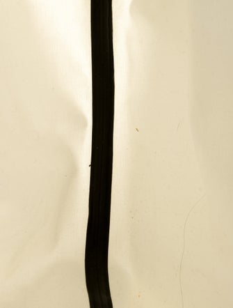 Celine Medium Canvas Made In