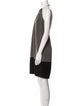 Celine Silk Knee-Length Dress