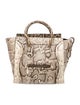 Celine Python Luggage Mini