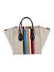 Celine Canvas Luggage Phantom Medium