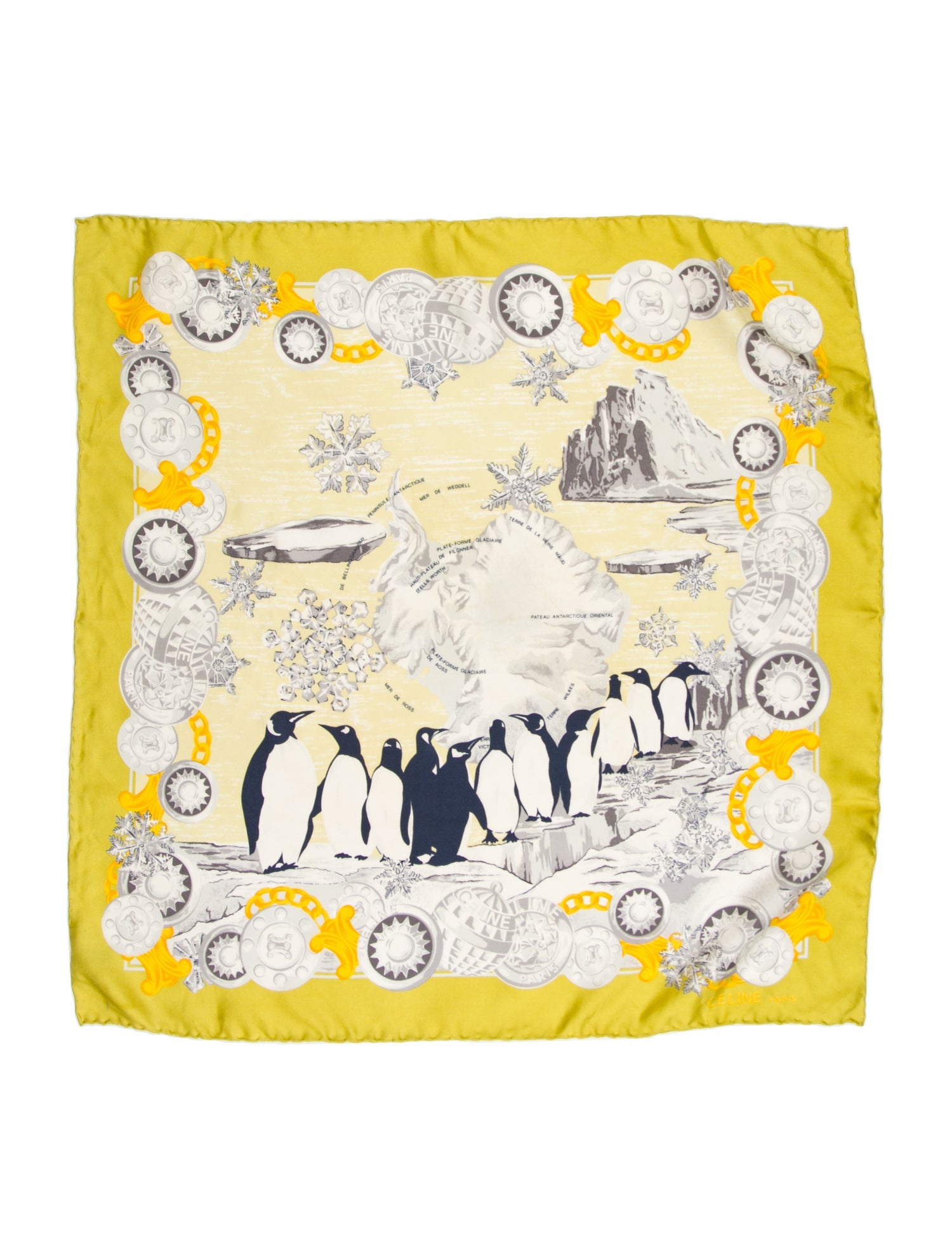 Celine Silk Printed Scarf