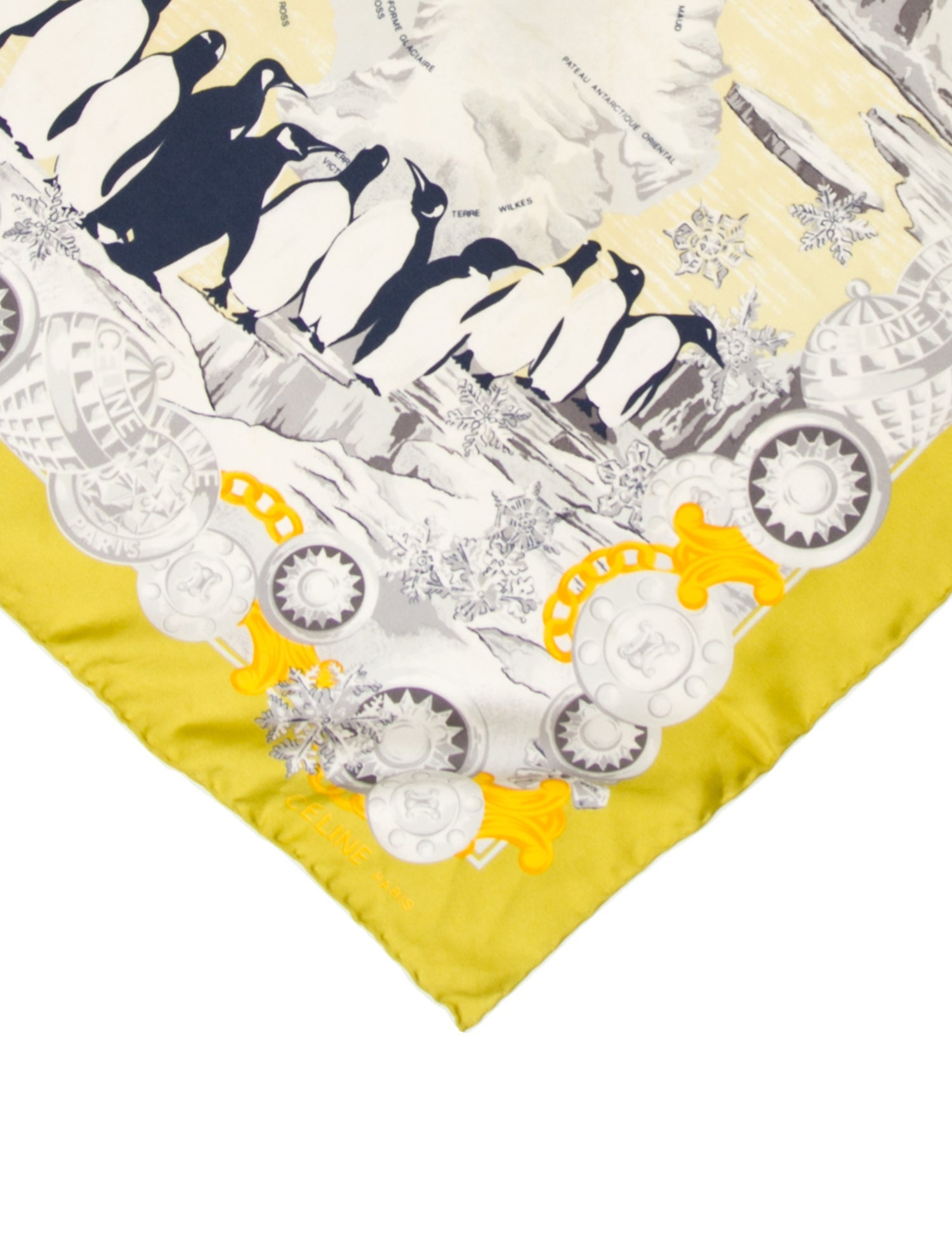 Celine Silk Printed Scarf