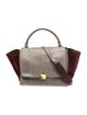 Celine Python Trapeze Medium