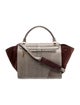 Celine Python Trapeze Medium