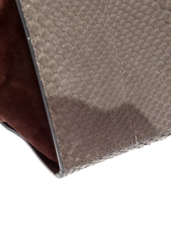 Celine Python Trapeze Medium