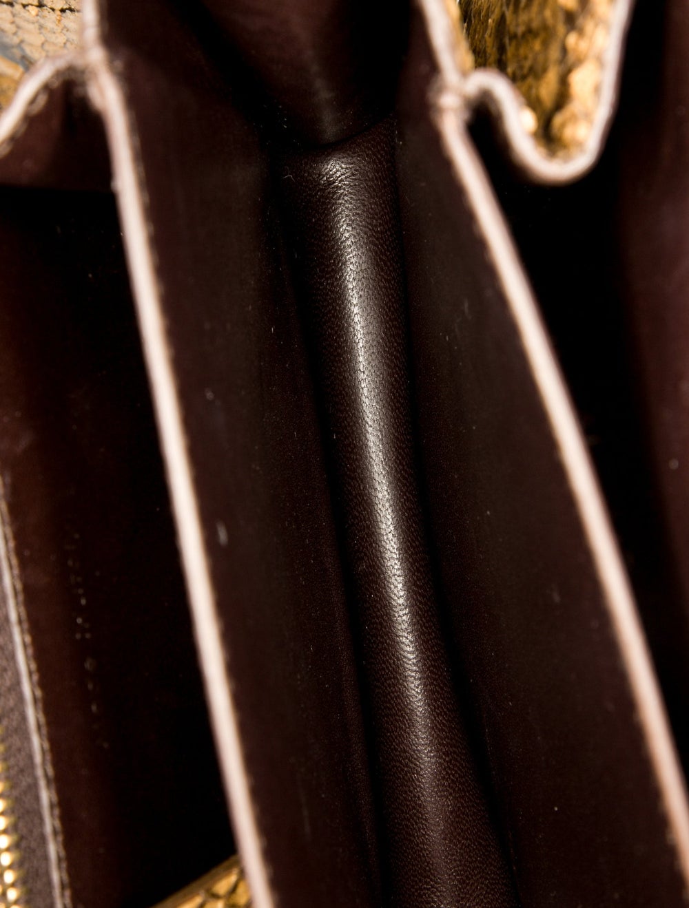 Celine Python Box on Strap - image 5