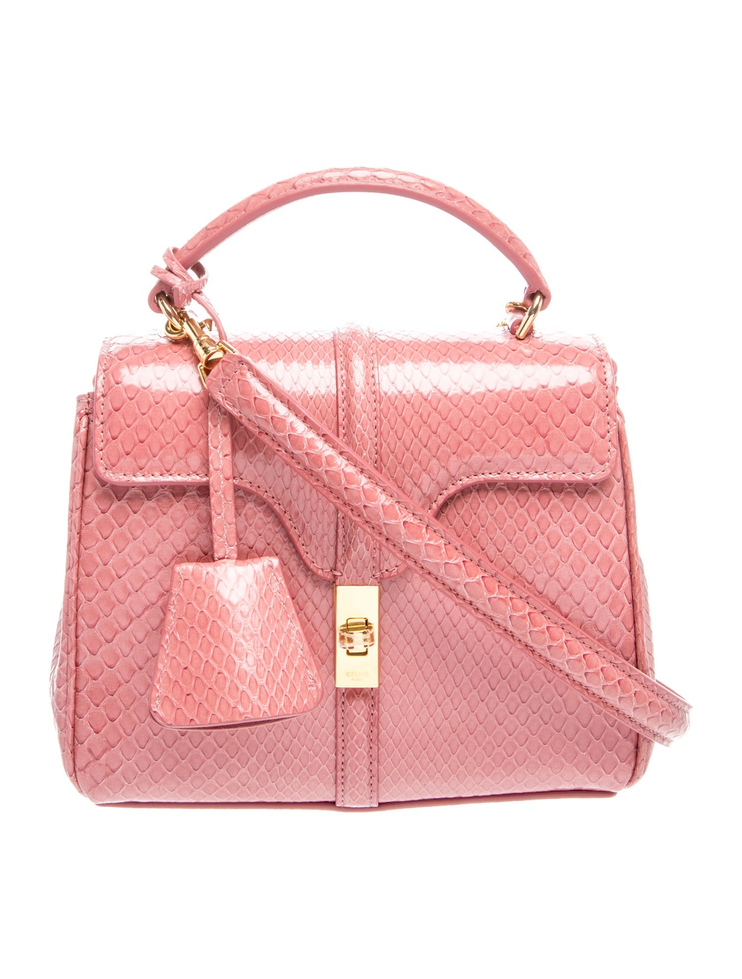 Celine Python 16 Bag Mini 2024 w/ Tags