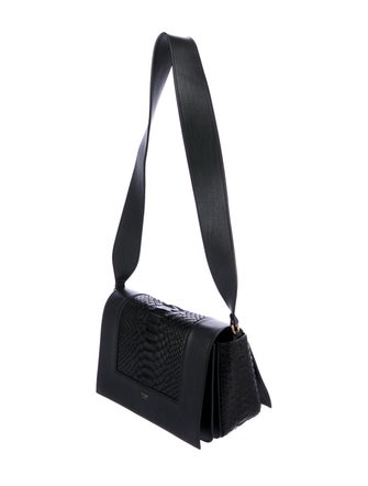 Celine Céline 2016 Python Frame Bag