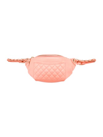 Chanel Bi Quilted Waist Bag