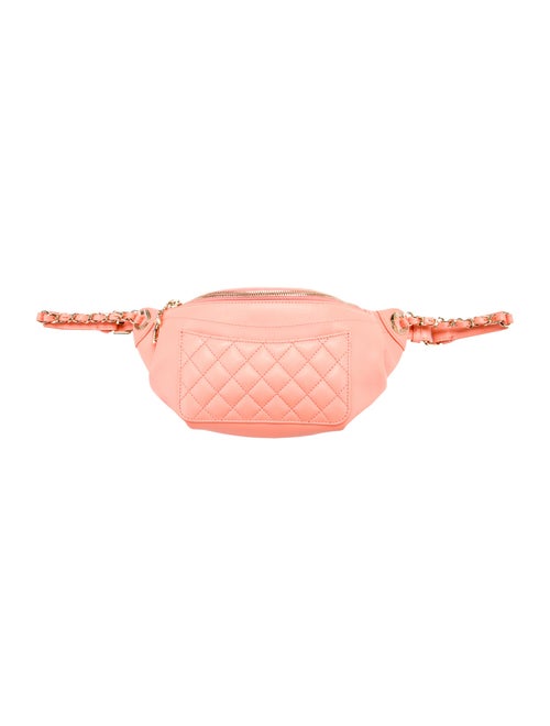 Chanel Bi Quilted Waist Bag