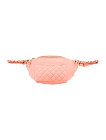 Chanel Waist Bags Bi Quilted Bag