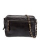 Chanel Quilted Camera Bag