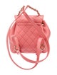 Chanel Small Duma Backpack