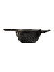 Chanel Bi Quilted Waist Bag