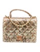 Chanel Python Flap Accordion Bag