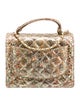 Chanel Python Flap Accordion Bag