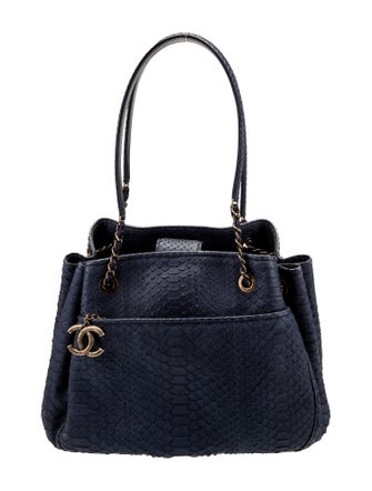 Chanel CC Python Accordion Bag