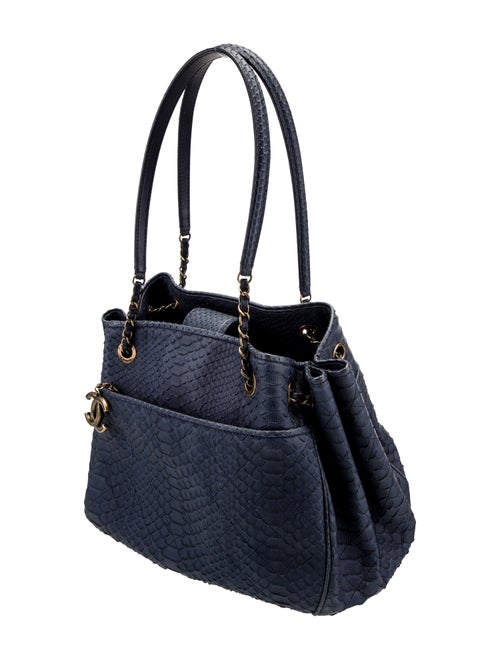 Chanel CC Python Accordion Bag