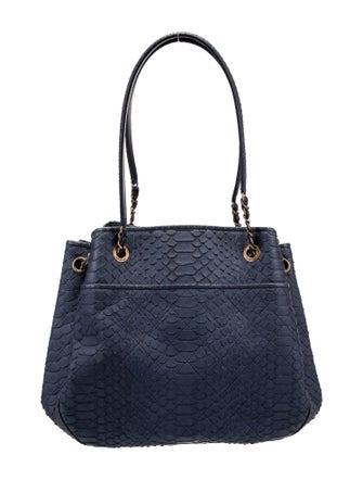 Chanel CC Python Accordion Bag