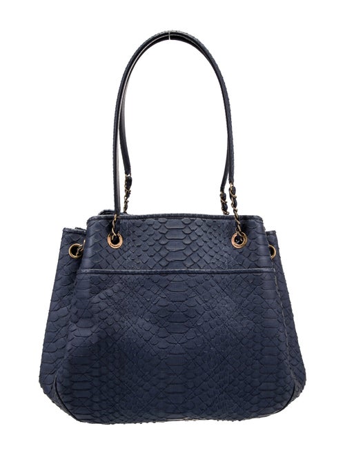 Chanel CC Python Accordion Bag