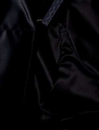 Chanel CC Python Accordion Bag