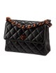 Chanel Acrylic Small Flap Bag