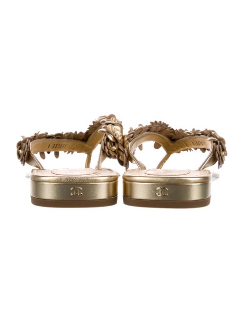 Chanel 2021 Camellia Accent Slides