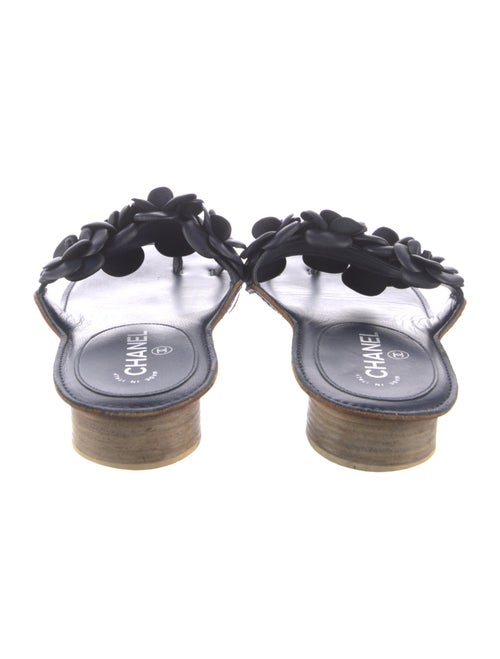 Chanel 2014 Interlocking CC Logo Slides