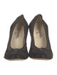 Chanel 2010-2011 Spirit Pumps
