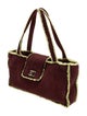 Chanel Shearling Shoulder Bag