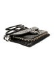 Chanel Small Python CC Unchained Flap Bag