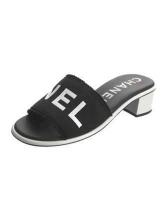 Chanel 2024 Printed Slides