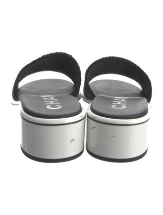 Chanel 2024 Printed Slides