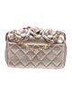 Chanel Mini Around Camellias Flap Bag