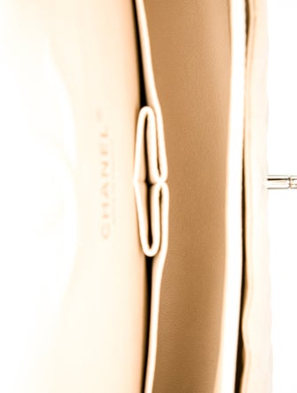 Chanel Classic Medium Double Flap Bag