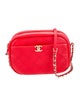 Chanel Medium Casual Trip Camera Bag