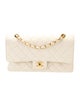 Chanel Classic Medium Double Flap Bag