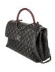 Chanel Medium Lizard-Trimmed Coco Handle Bag