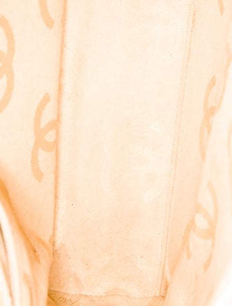 Chanel Raffia Camellia Shoulder Bag