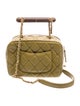 Chanel Wenge Wood Small Top Handle Bag